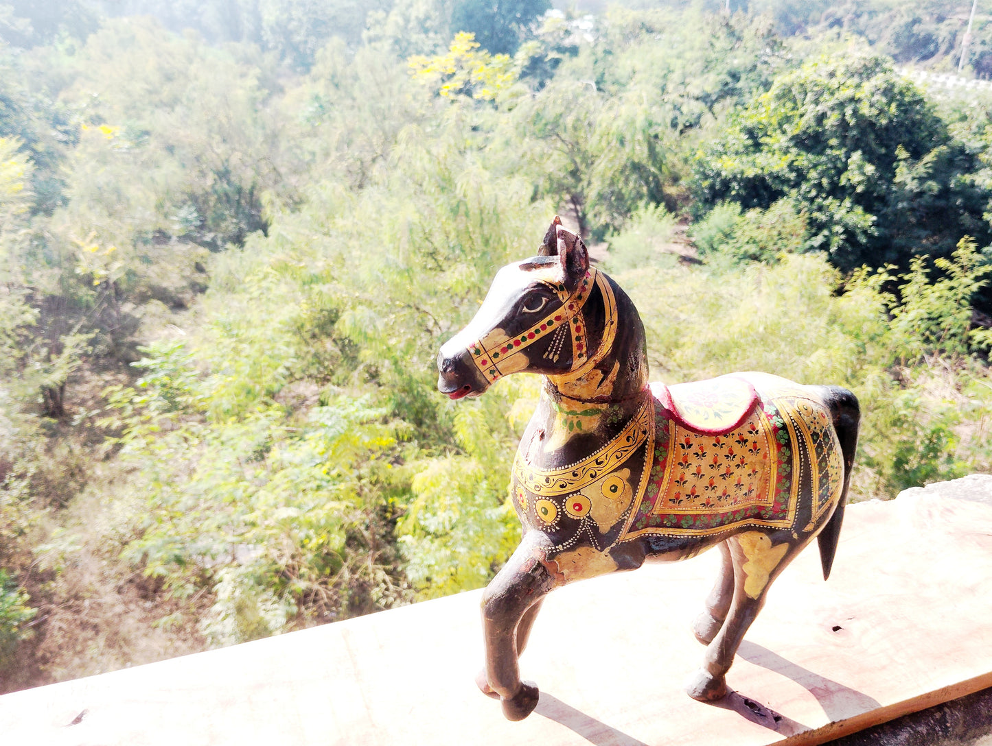Rajasthani traditional horse