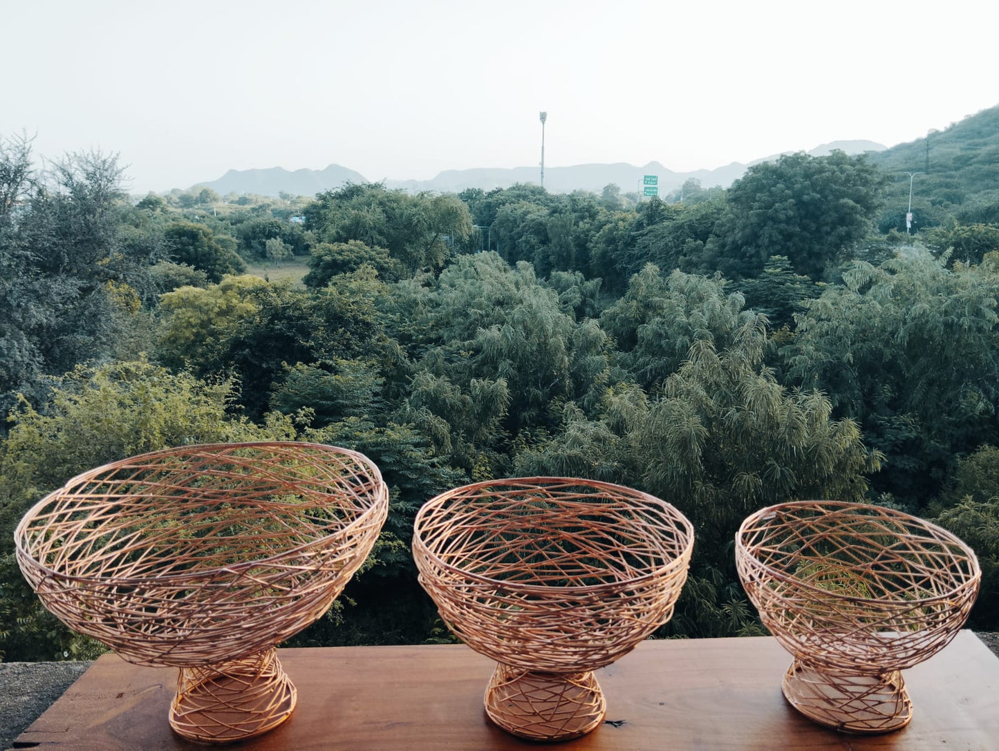 ABSTRACT FRUIT BASKET SET OF THREE